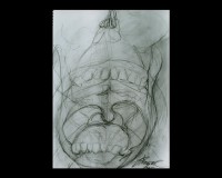 /album/serie-interiores-humanos/int14-jpg/