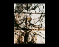 /album/serie-interiores-humanos/int20-jpg/